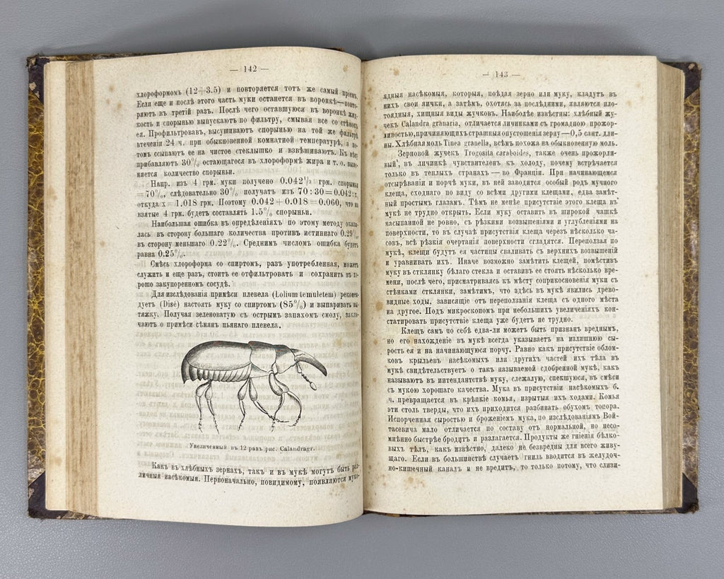 1st ed.  Dobroslavin Hygiene 1884 Доброславин Гигиена Часть 2 Здравоохранение