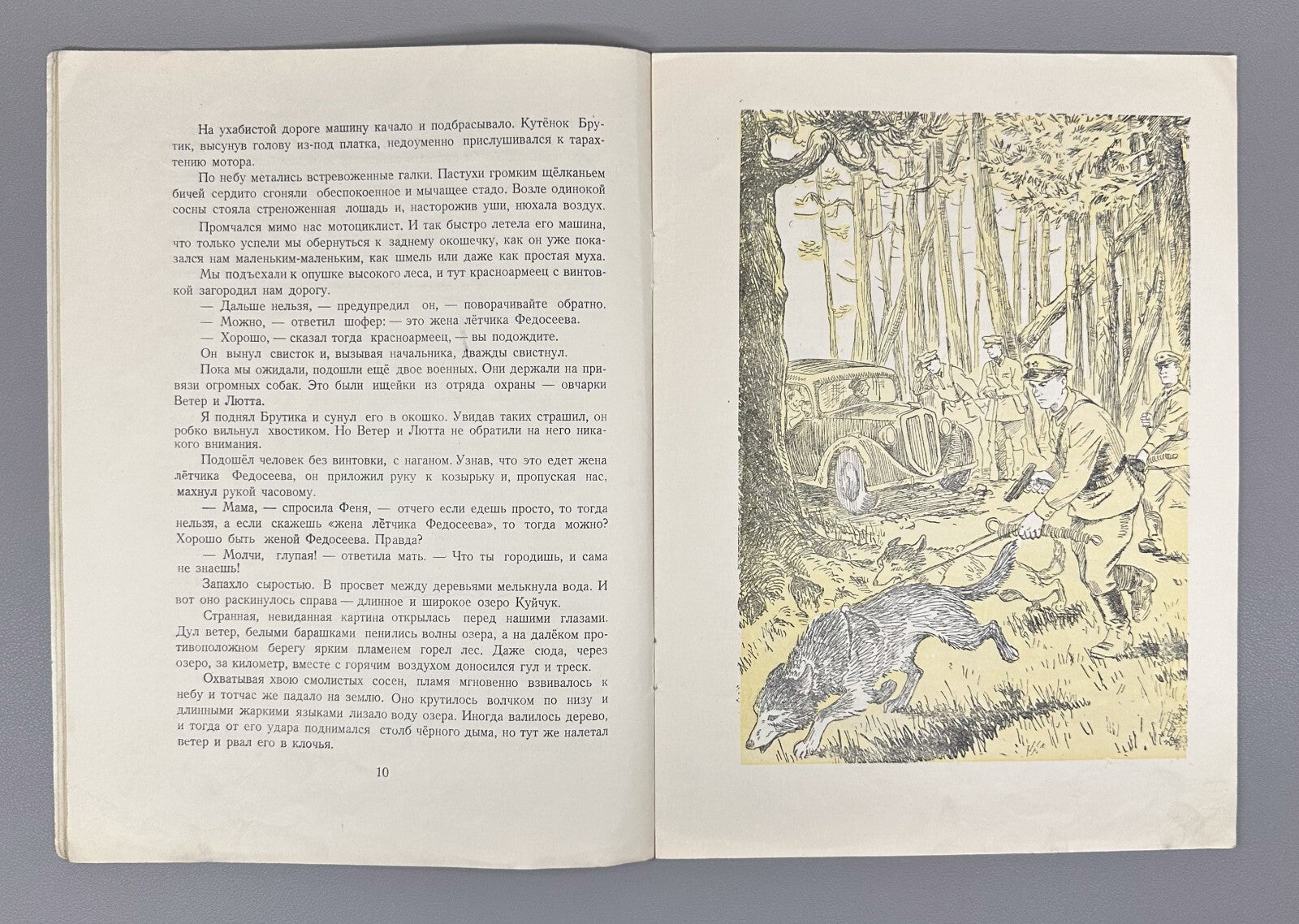 Gaidar Smoke in the Forest USSR Soviet book 1951 Гайдар Дым в лесу Рассказ