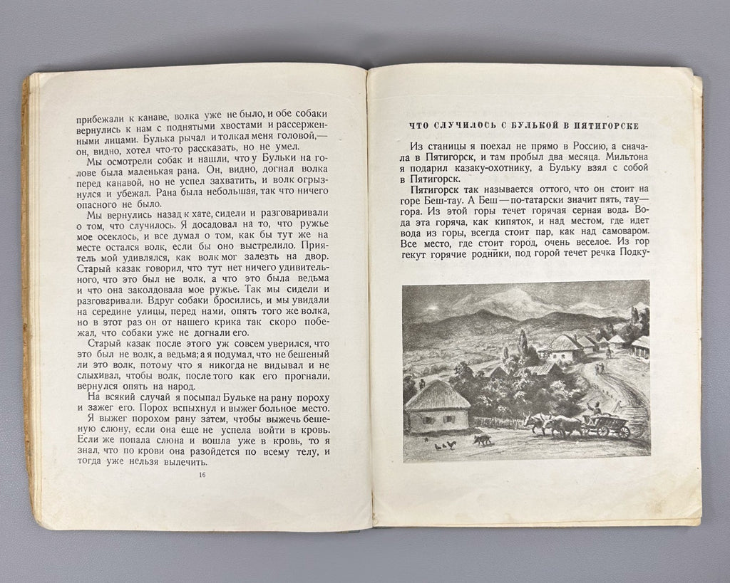 Толстой Рассказы о животных Ватагина 1936 Tolstoy Stories about Animals Vatagin