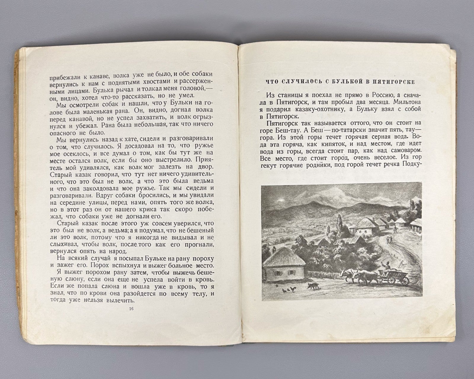 Толстой Рассказы о животных Ватагина 1936 Tolstoy Stories about Animals Vatagin