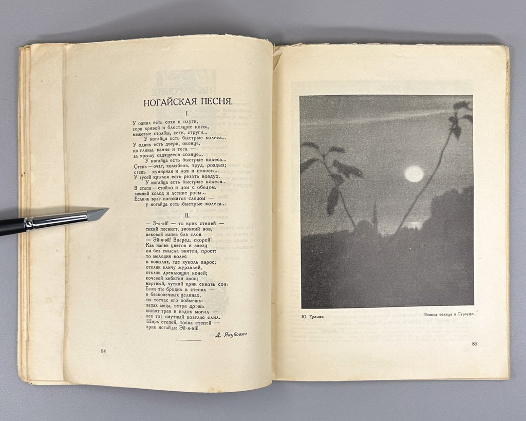 1st ed. The Hum of the Earth Zamyatin Crimean Tatars 1928 Гул земли Замятин Rare