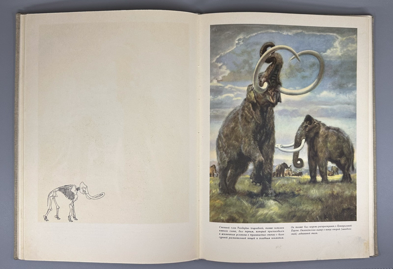 1st ed. Augusta Book about Mammoths 1962 Аугуста Книга о мамонтах Rare