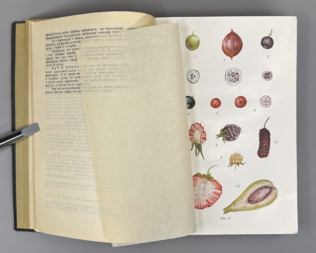 1st ed. Fruits & Vegetables 1930 Церевитинов Химия и товароведение Плоды Овощи