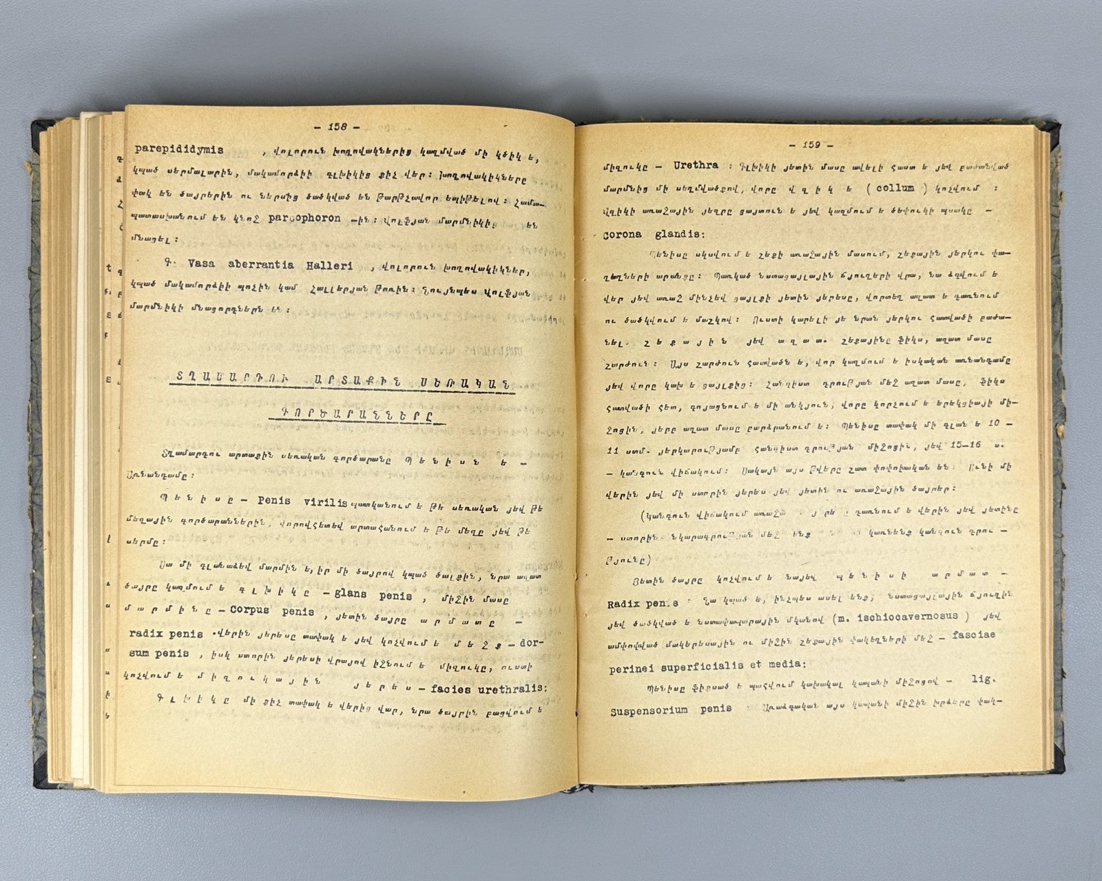 1st ed. Signed Artsruni Արծրունի Մարդակազմություն 1923 Anatomy Myology Armenian