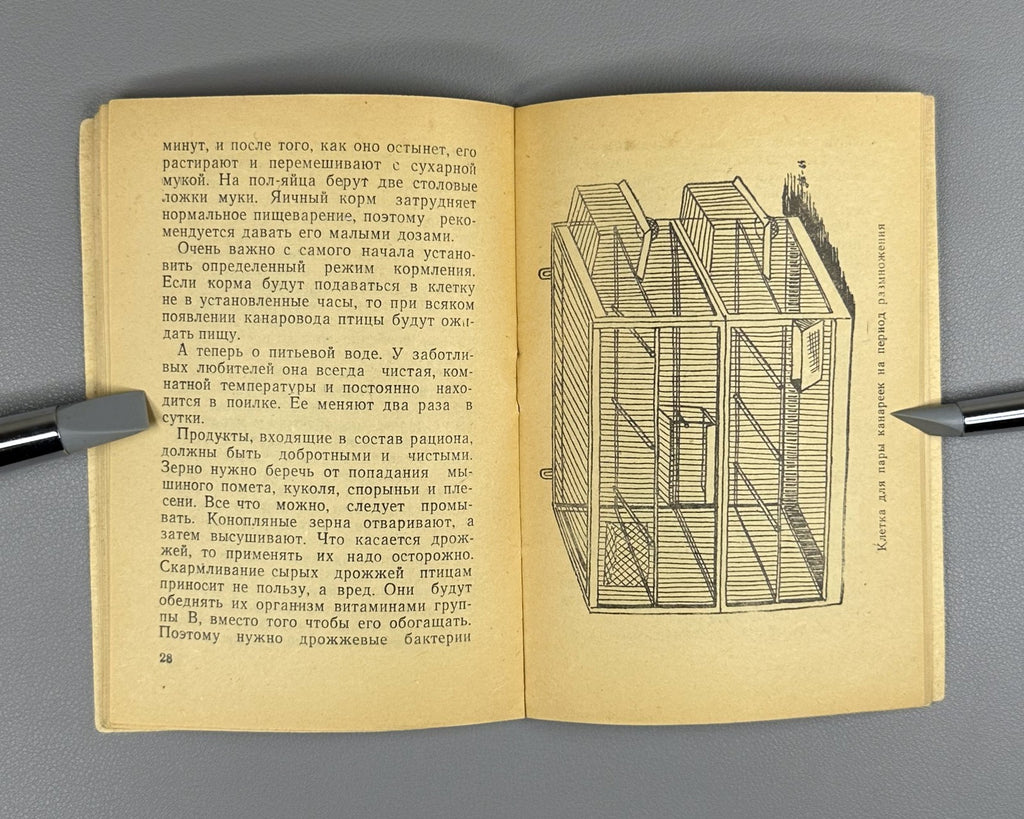 Rzhevsky Canary Keeping Songbir 1964 Ржевский Канарейка Содержание певчих птиц