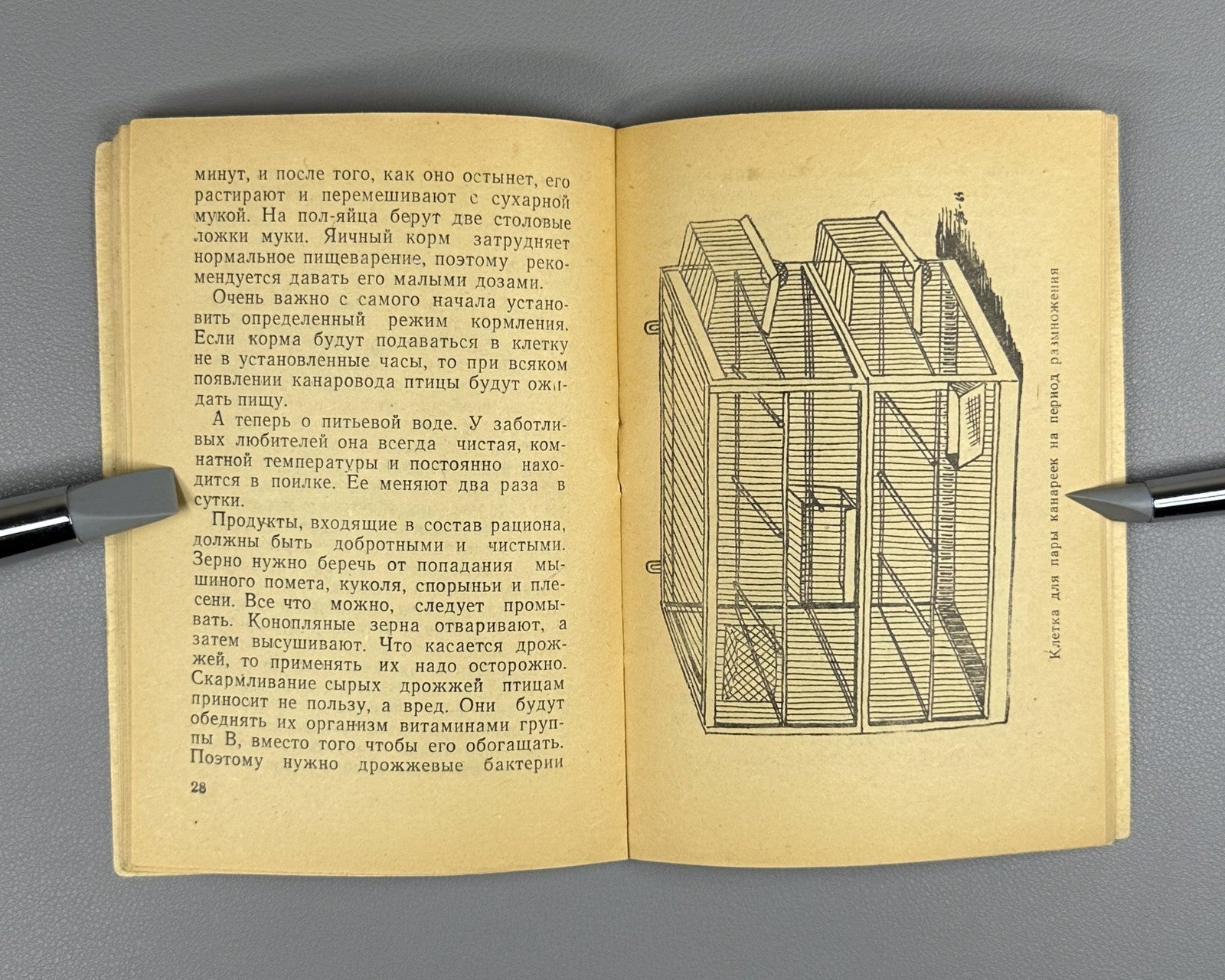Rzhevsky Canary Keeping Songbir 1964 Ржевский Канарейка Содержание певчих птиц