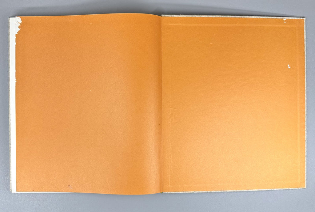 1st ed. Gorodets Painting design Mavrina Russia 1970 Городецкая живопись Маврина