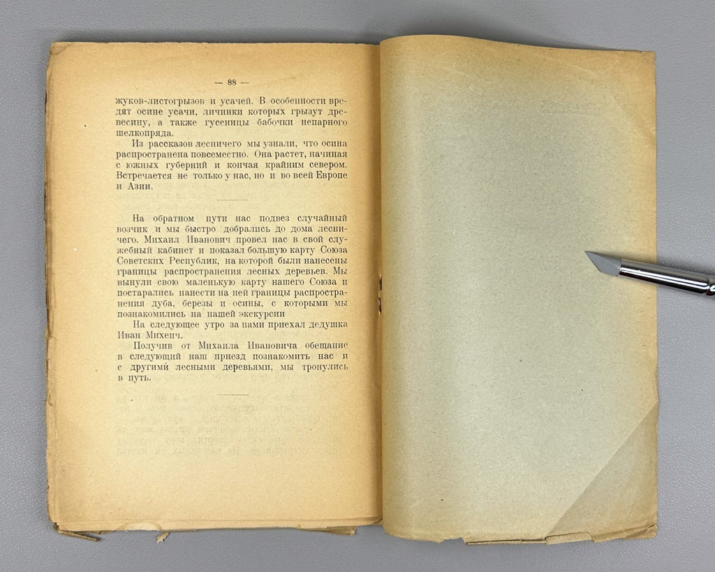Our forest trees Russian textbook 1925 Князев Наши лесные деревья Естествознание