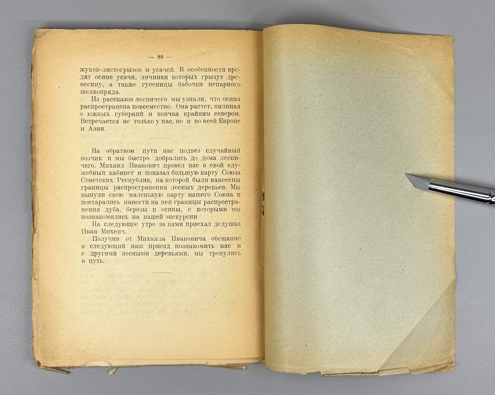 Our forest trees Russian textbook 1925 Князев Наши лесные деревья Естествознание
