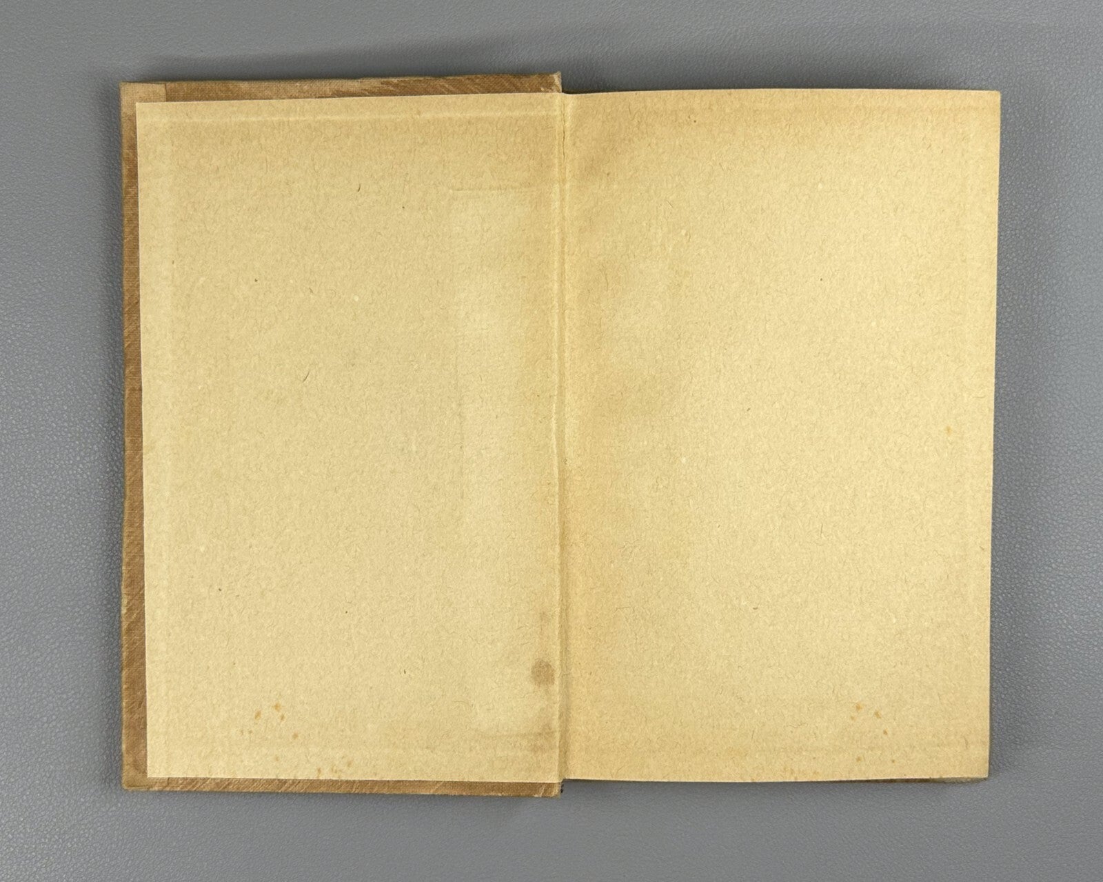 1st ed. Poets of the French Renaissance 1938 Поэты французского возрождения Rare