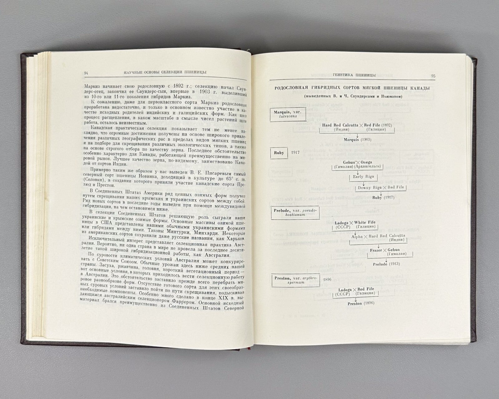 Вавилов Избранные произведения Классики науки 1967 Vavilov Works geneticist Rare