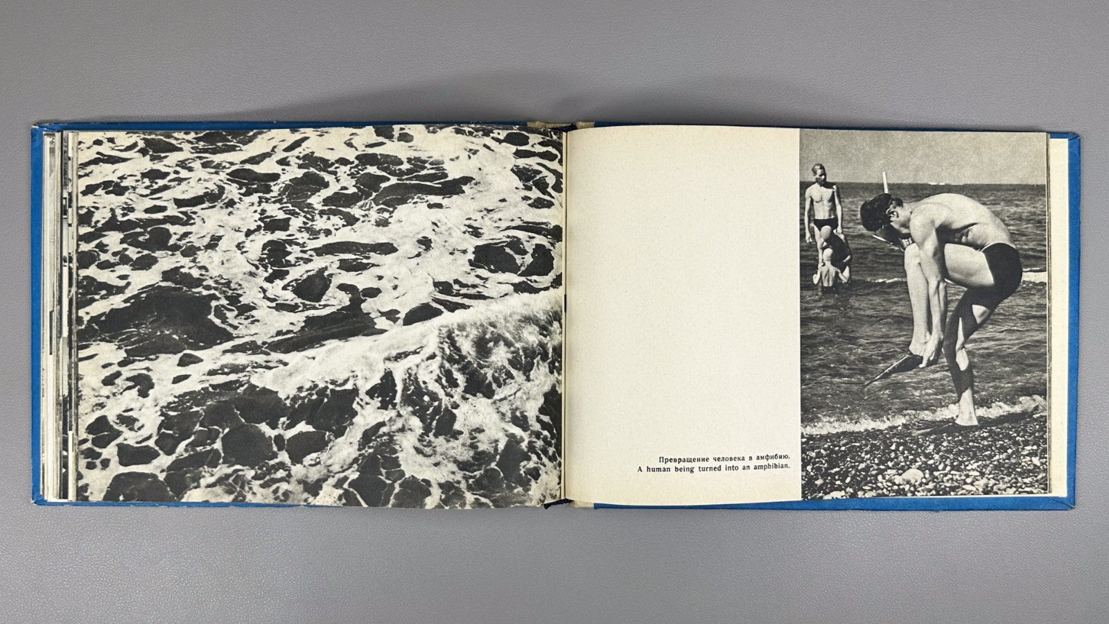 Sochi Photo Album USSR 1963 Сочи Фотоальбом Курорт СССР