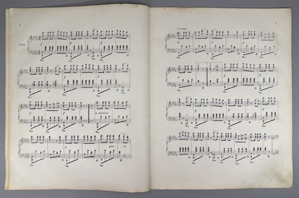 1st ed Герман Марш русских добровольцев 1876 Hermann March of Russian Volunteers