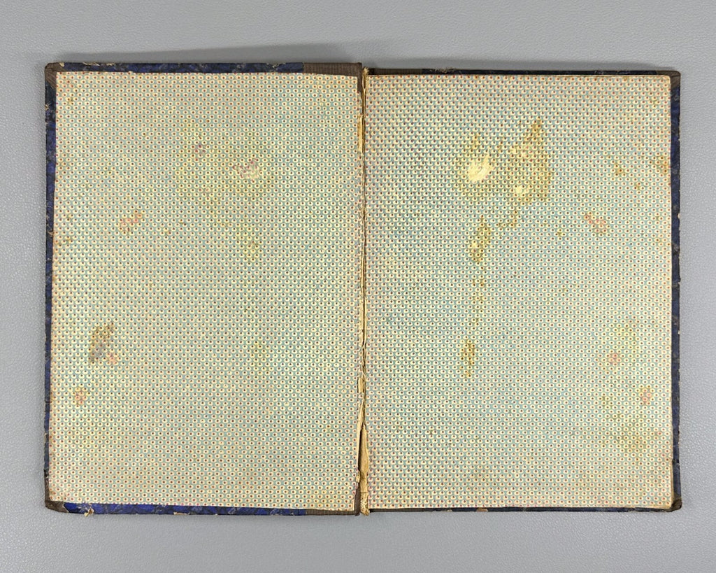 1st ed. Gloriana Fantastic Novel 1924 Глориана Фантастический роман Никольсен