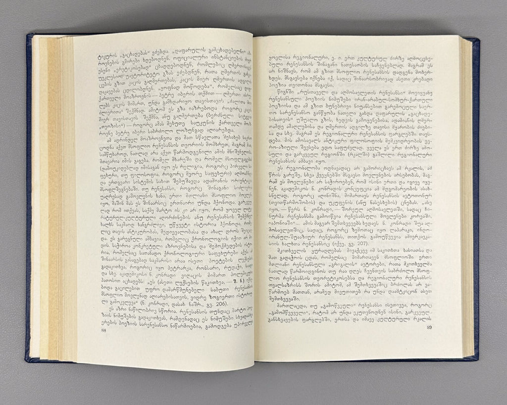 Shalva Nutsubidze Critical Essays Literature and Philosophy Georgian