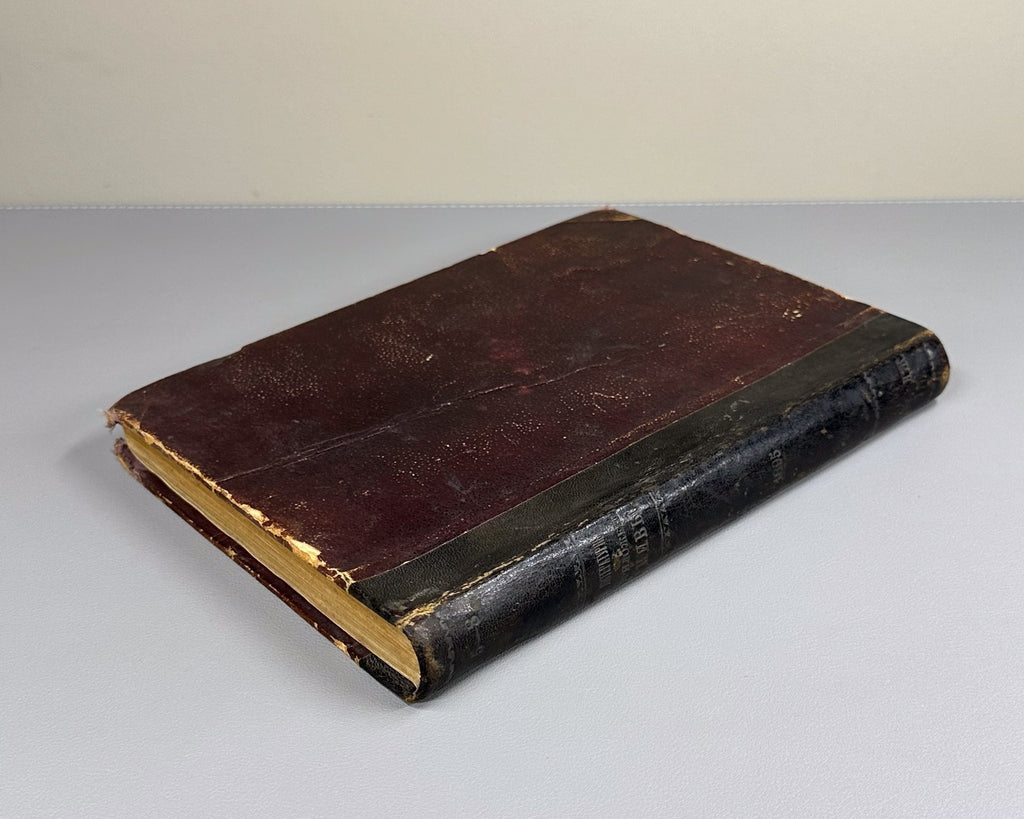 Литературные приложения к журналу Нива за 1895 Niva Magazine Literary Supplement