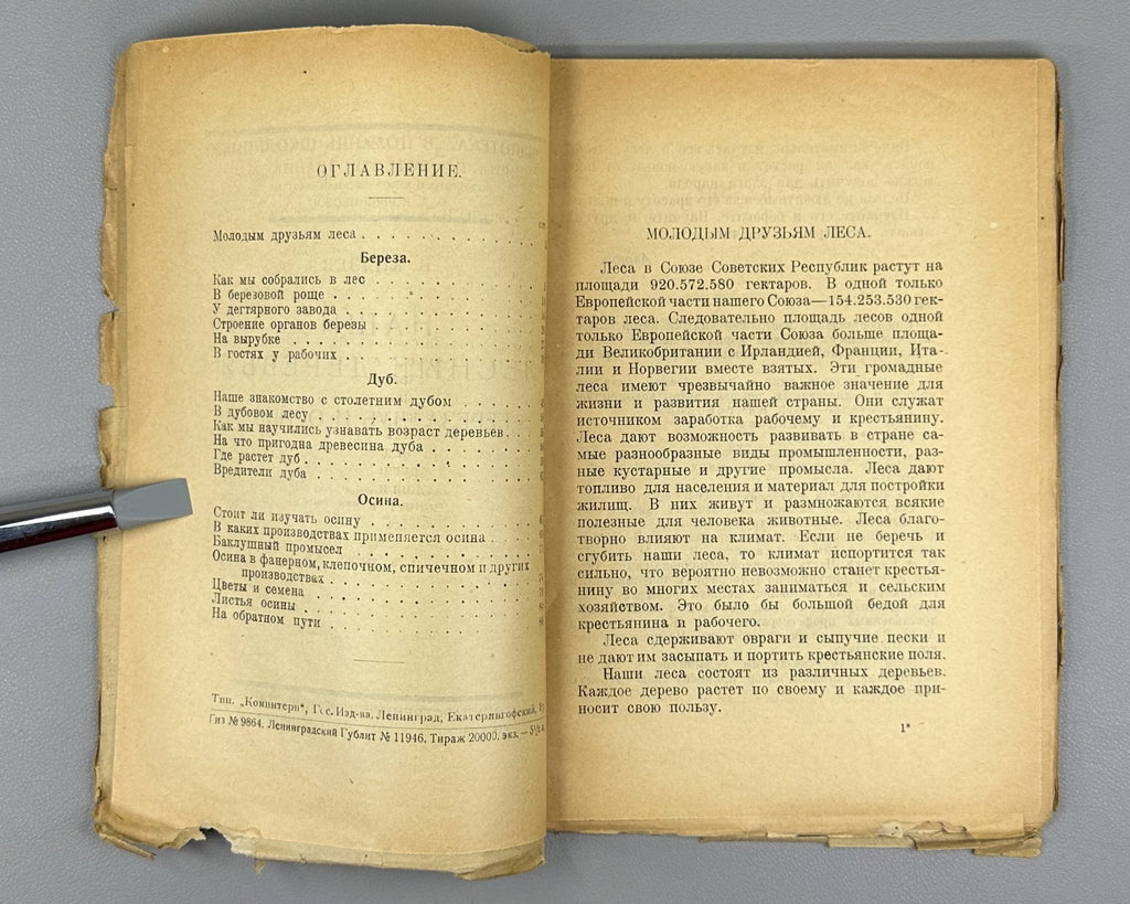Our forest trees Russian textbook 1925 Князев Наши лесные деревья Естествознание