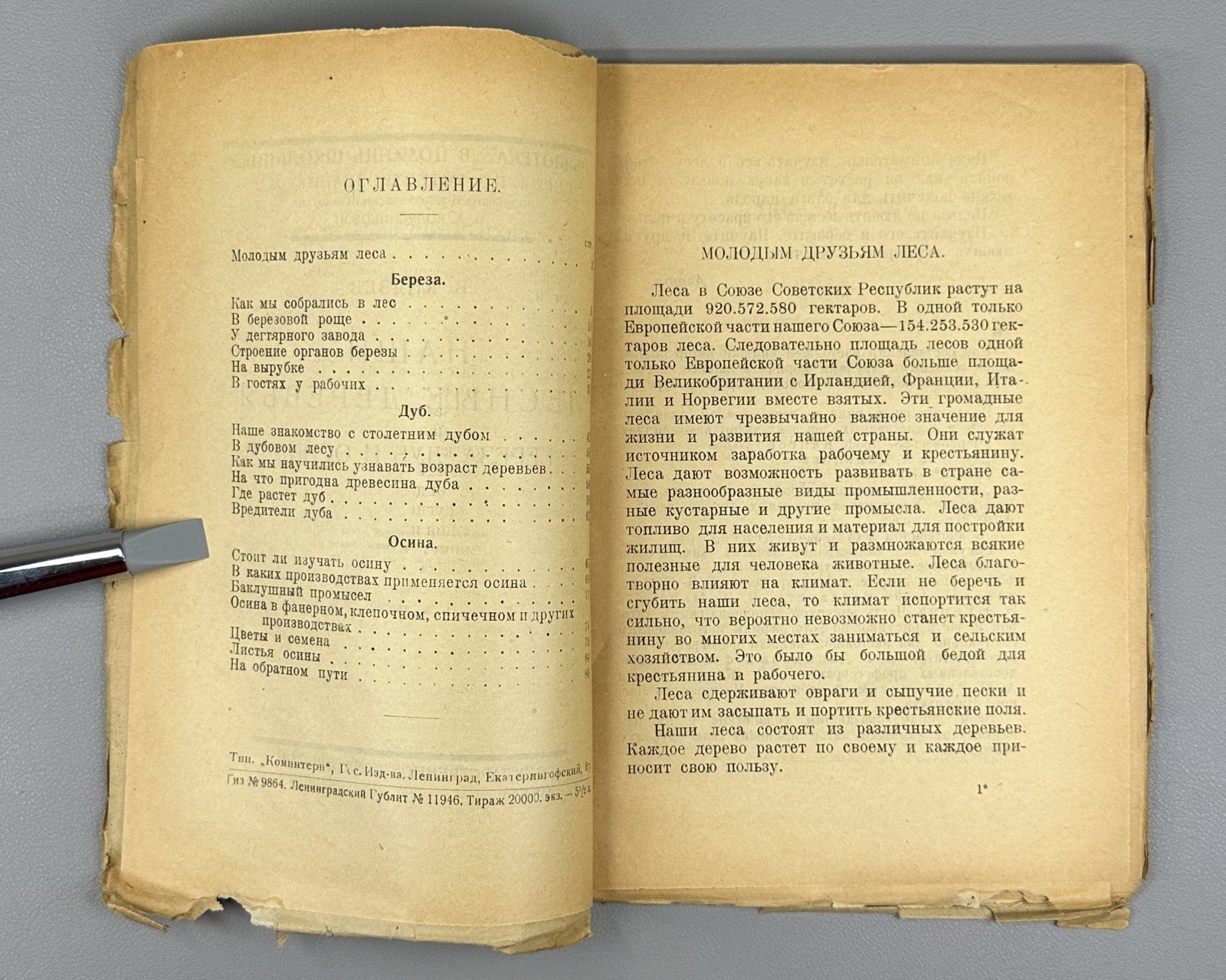 Our forest trees Russian textbook 1925 Князев Наши лесные деревья Естествознание