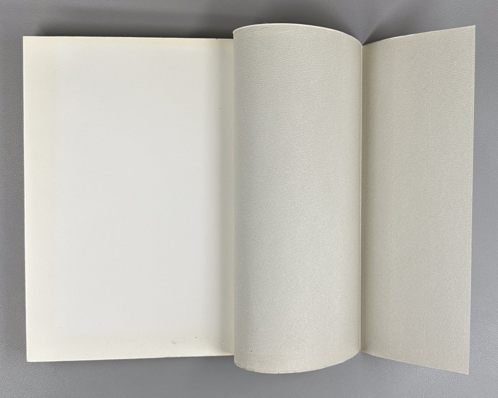Hans-Georg Gadamer. Philosophische Lehrjahre. Eine Rückschau 1977 1st ed. German