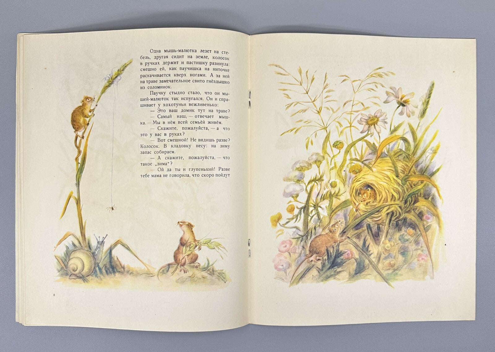 Bianki Spider Pilot Story USSR paper book 1956 Бианки Паучок пилот Рассказ