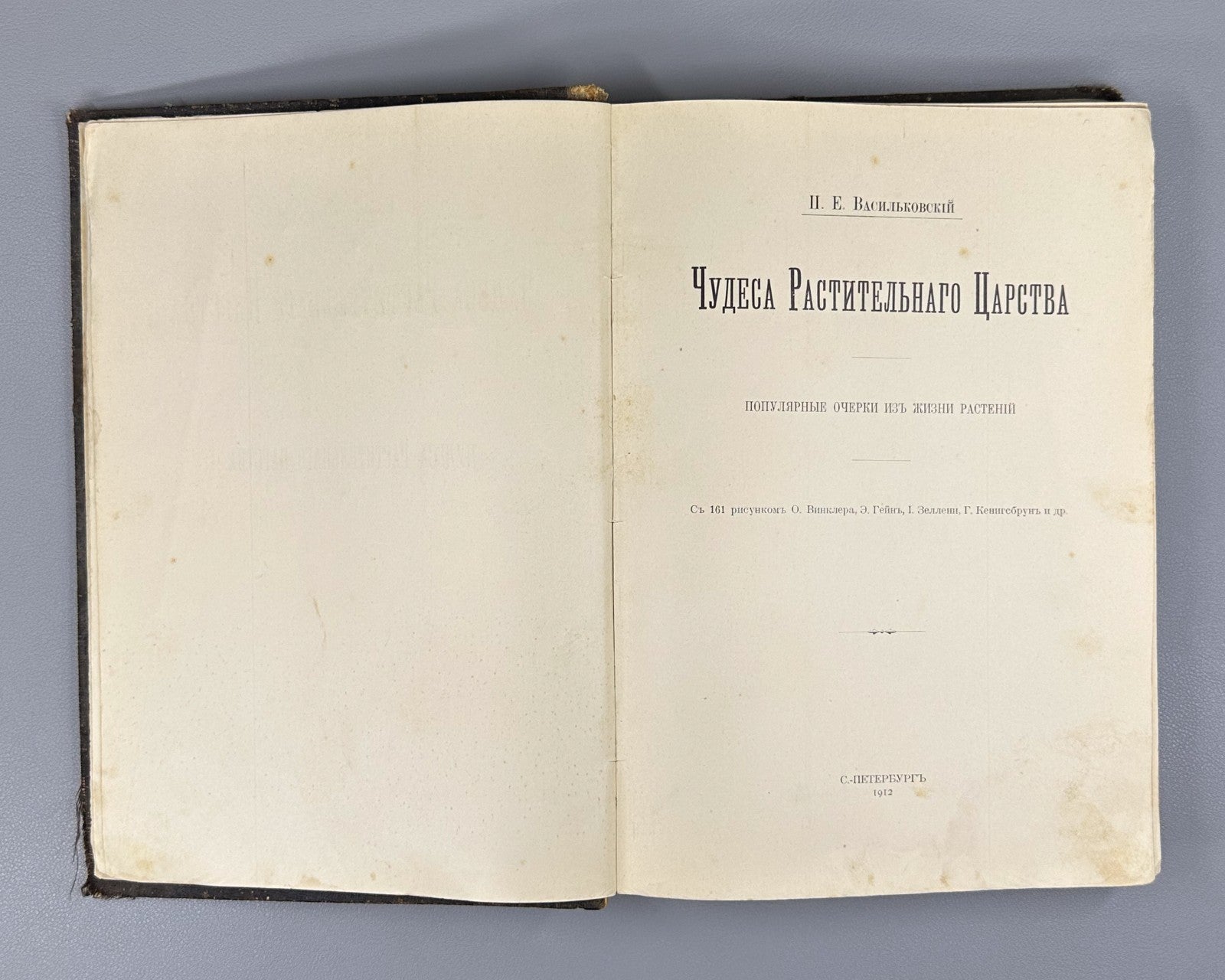 Васильковский Чудеса растительного царства 1912 Vasilkovsky Plant Kingdom Wonder