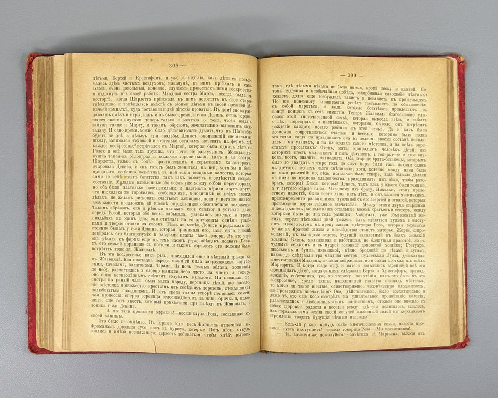 Zola Fecundity Fécondité Novel 1900 Золя Плодовитость Роман