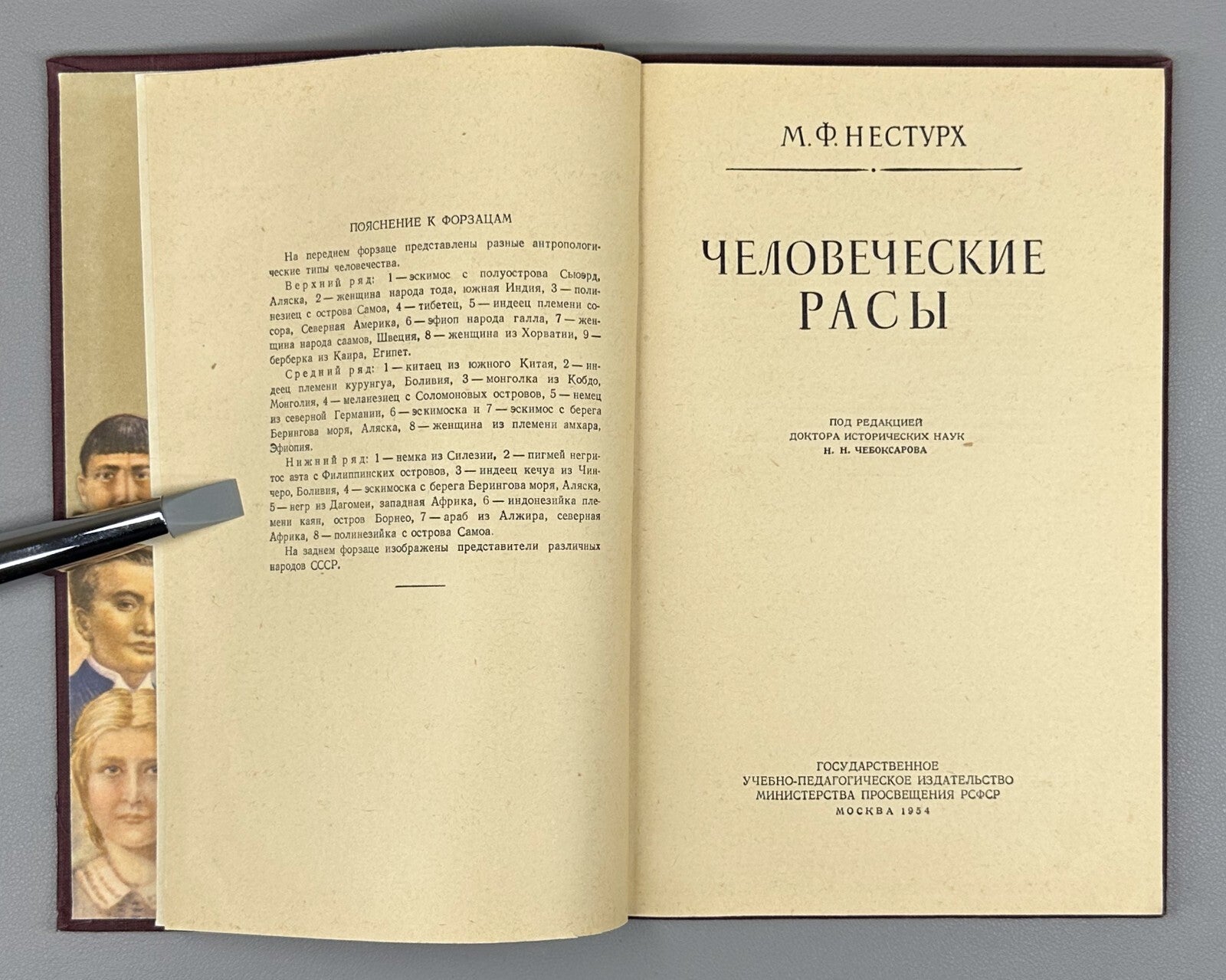 1st ed. Human Races Anthropology 1954 Нестурх Человеческие расы Антропология