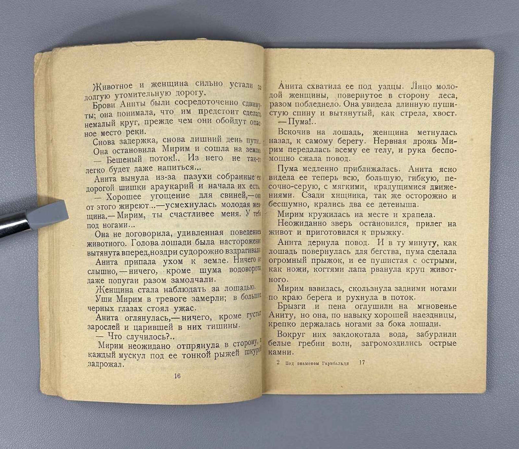 Art. Felice. Under Garibaldi’s Banner (Pod znamenem Garibal'di), 1930. In Russian