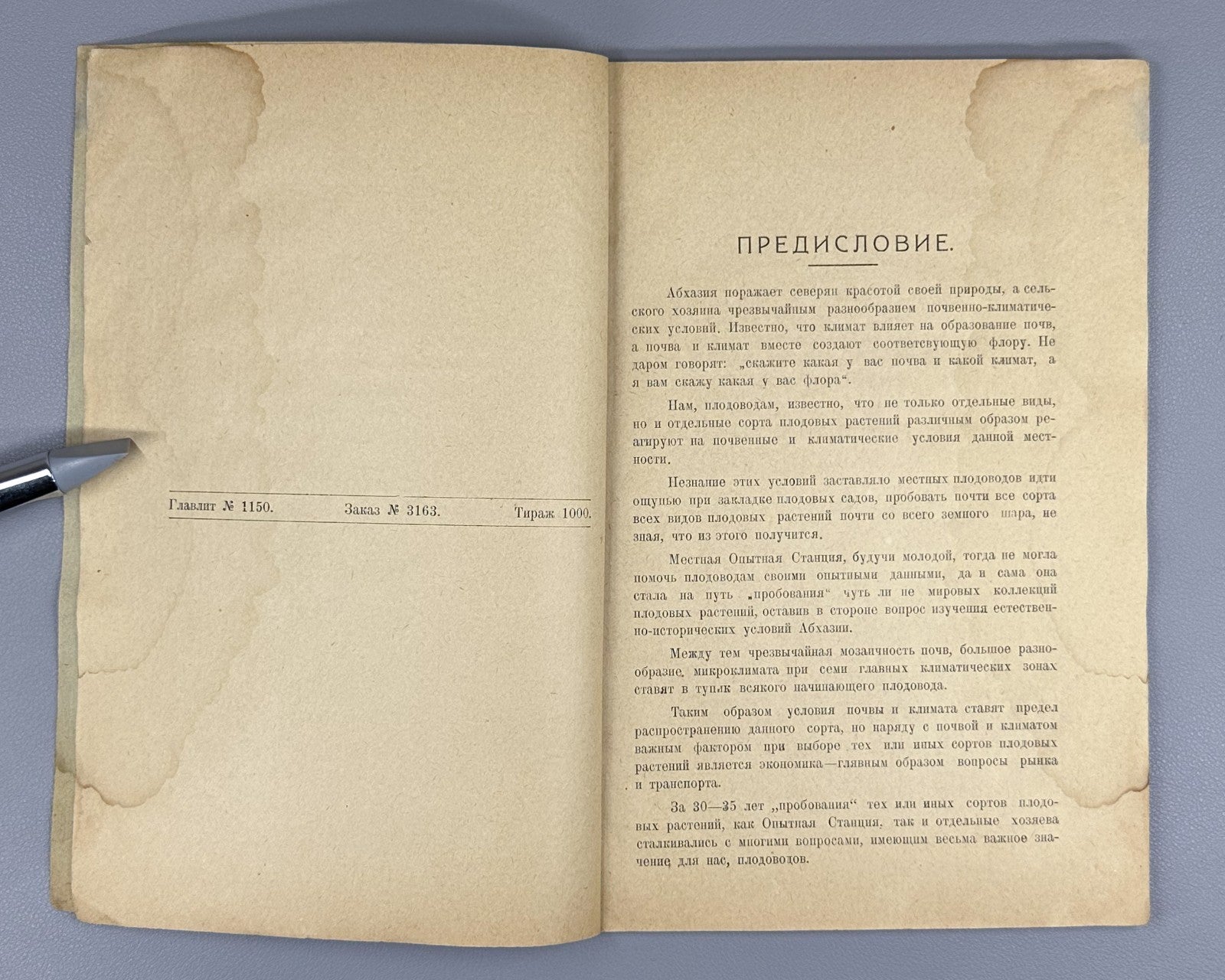 Екимов Итоги сортоиспытания плодовых пород в Абхазии 1926 Fruit Variety Abkhazia