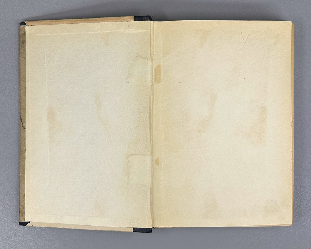 Mikhailov Russian poetry 19th cent. 1904 Михайлов Очерки русской поэзии XIX в.