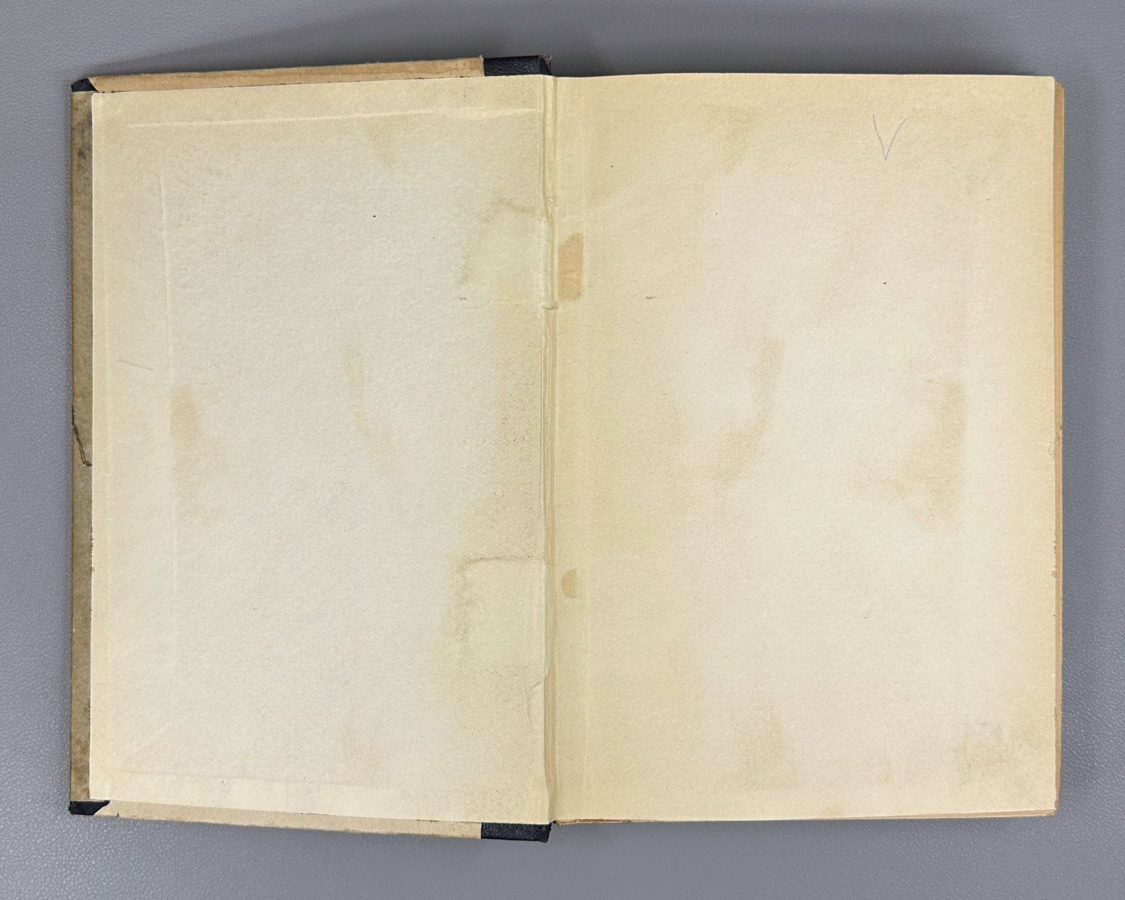 Mikhailov Russian poetry 19th cent. 1904 Михайлов Очерки русской поэзии XIX в.