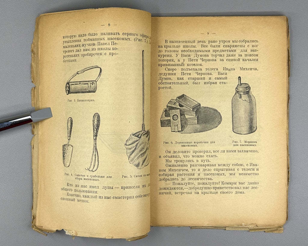 Our forest trees Russian textbook 1925 Князев Наши лесные деревья Естествознание