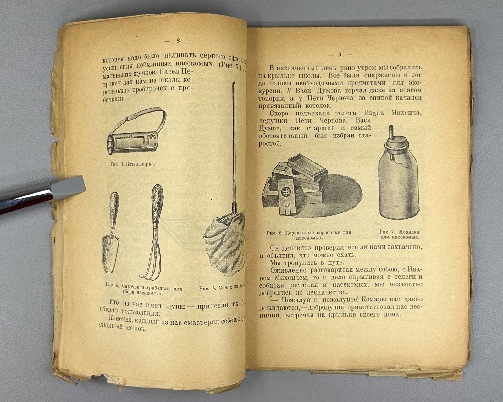 Our forest trees Russian textbook 1925 Князев Наши лесные деревья Естествознание