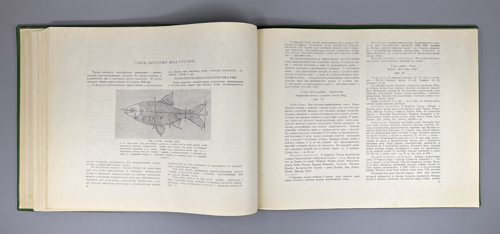 Freshwater Fishes of Georgia Atlas Fishing 1970 Рыбы пресных вод Грузии Rare