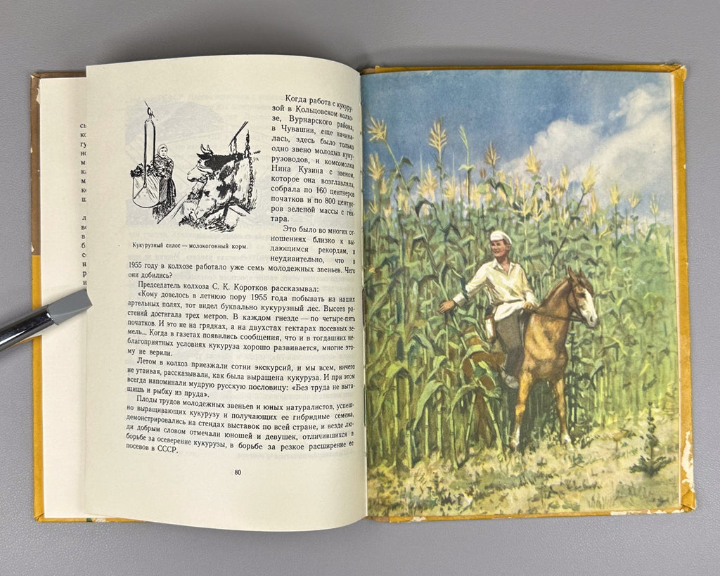 Гришин История початка и ее продолжение 1956 Grishin The History of the Corncob