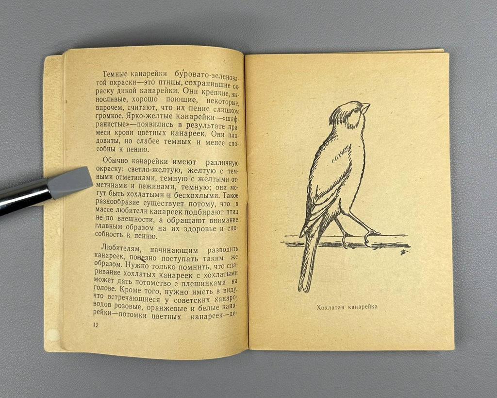 Rzhevsky Canary Keeping Songbir 1964 Ржевский Канарейка Содержание певчих птиц