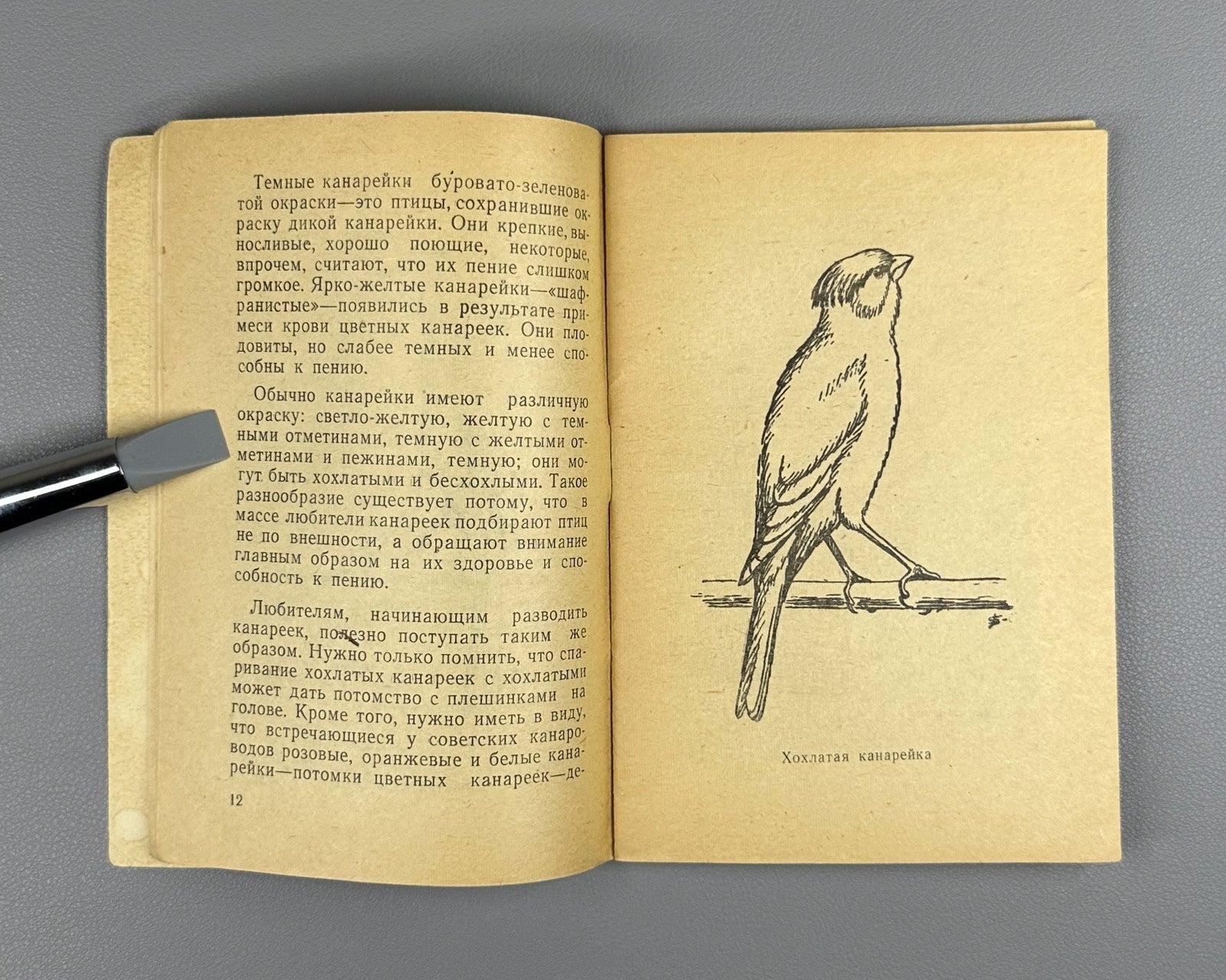 Rzhevsky Canary Keeping Songbir 1964 Ржевский Канарейка Содержание певчих птиц