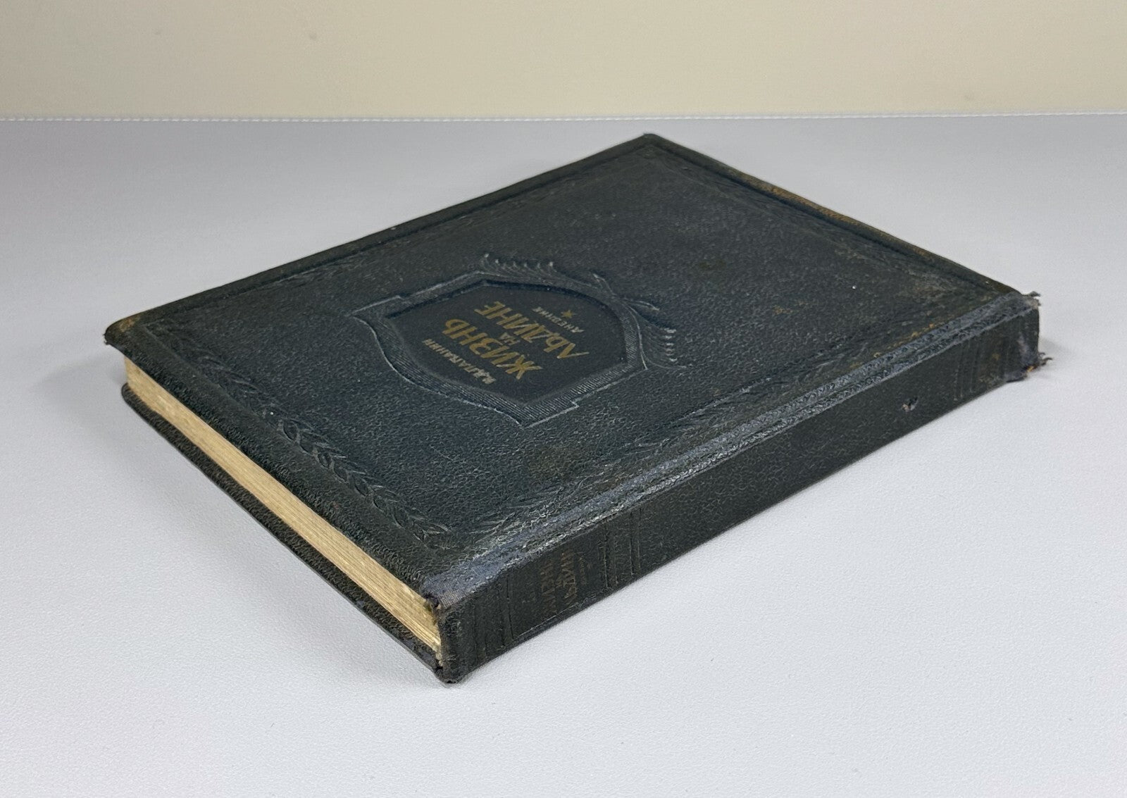 1st ed. Papanin Life on an Ice Floe Adventure 1938 Папанин Жизнь на льдине Rare