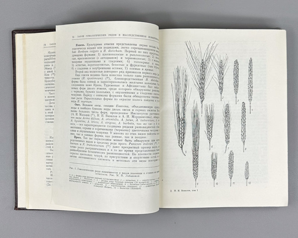 Вавилов Избранные произведения Классики науки 1967 Vavilov Works geneticist Rare