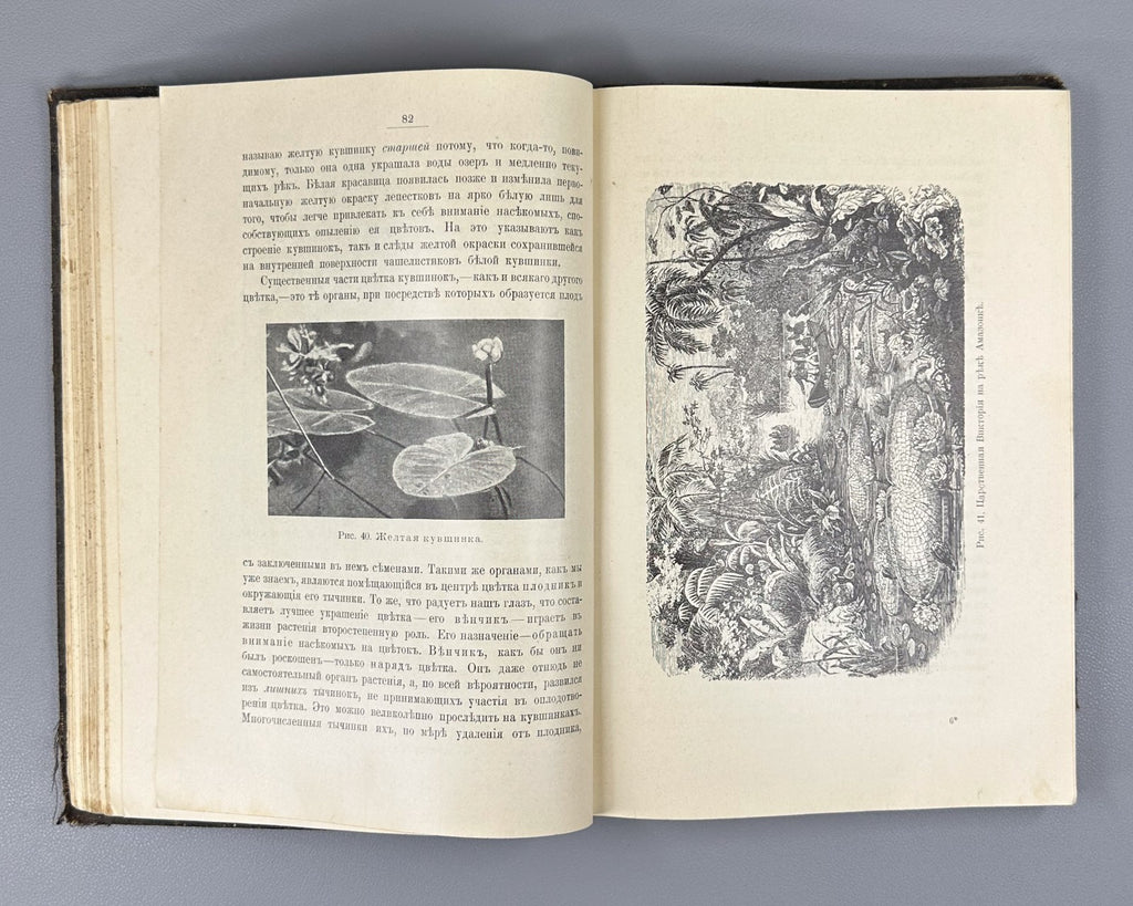 Васильковский Чудеса растительного царства 1912 Vasilkovsky Plant Kingdom Wonder