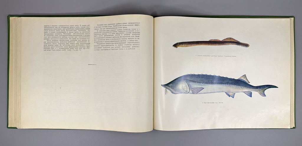 Freshwater Fishes of Georgia Atlas Fishing 1970 Рыбы пресных вод Грузии Rare