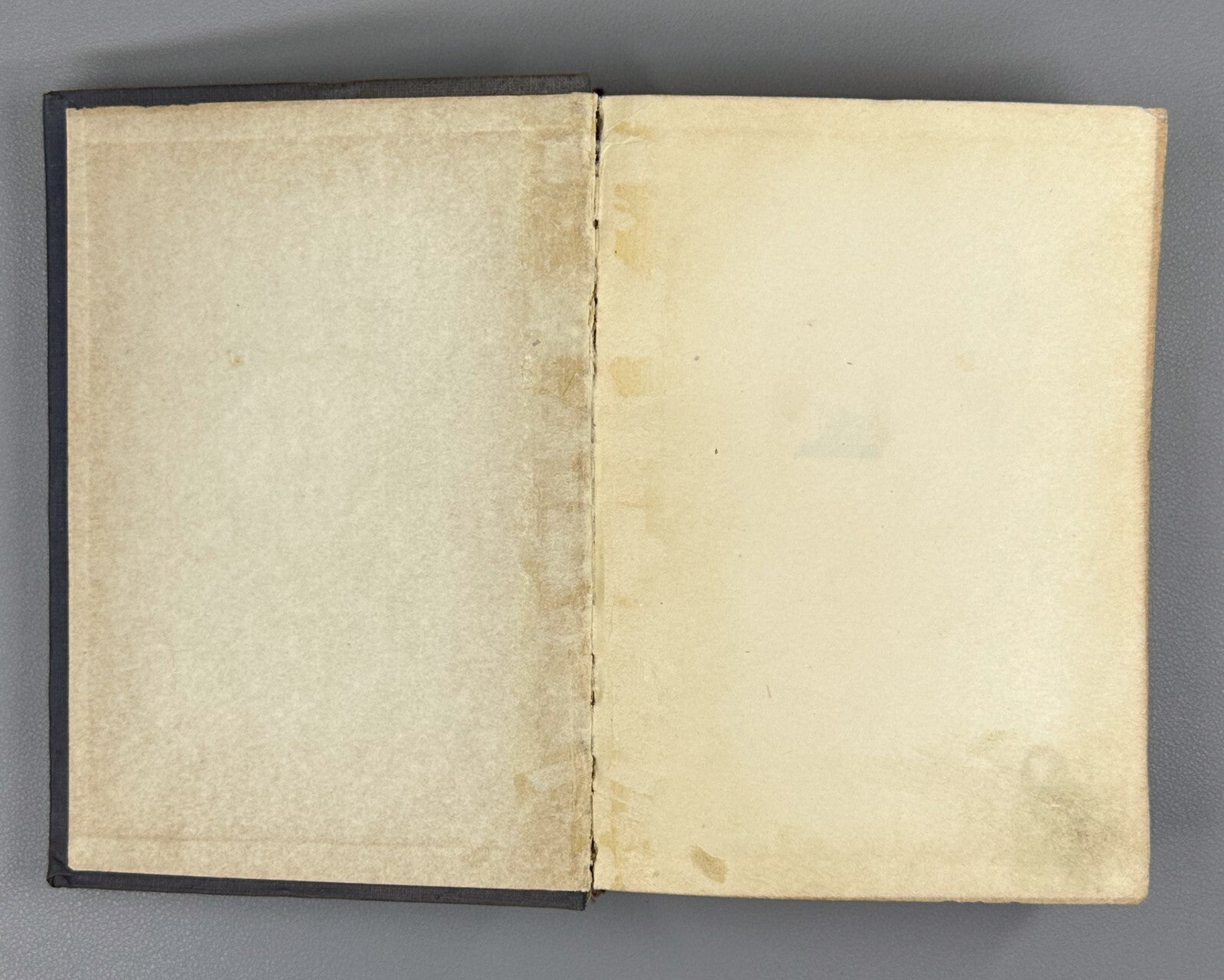Academia Cabet The Voyage to Icaria Novel 1935 Кабе Путешествие в Икарию 2 тома