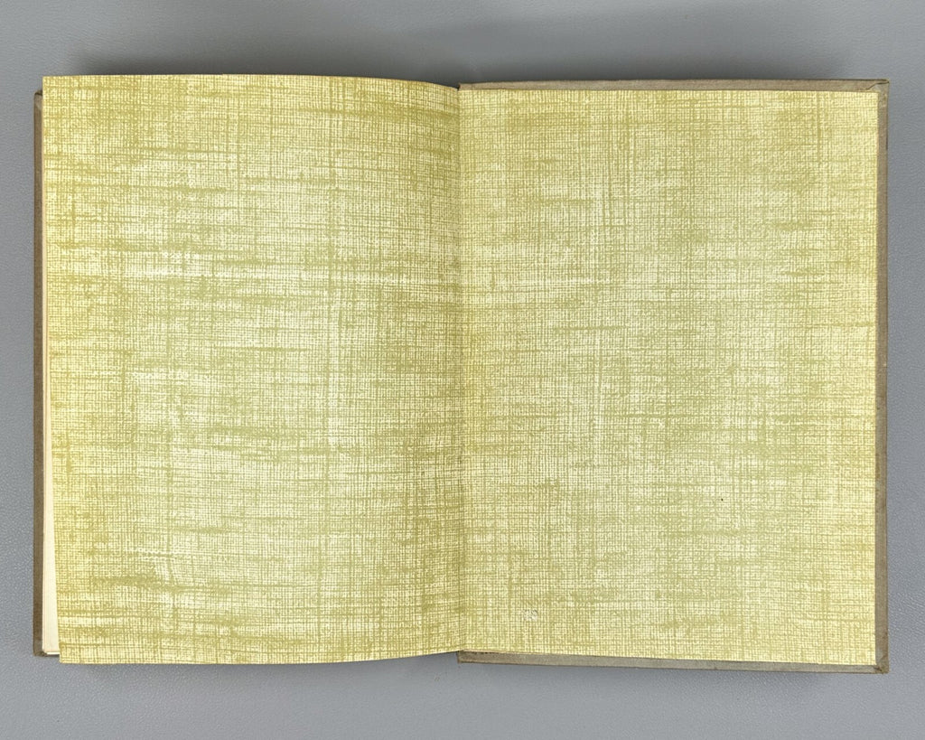 Суворов Искусство литографии 1947 Suvorov Art of Lithography Guide for Artists
