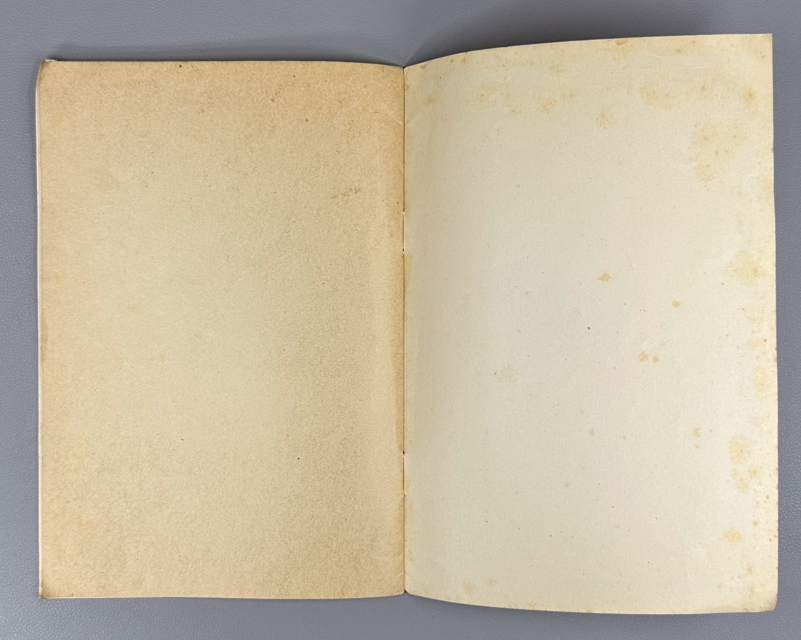 Письма с Кавказа к Л.Н. Толстому 1928  Letters from the Caucasus to L.N. Tolstoy