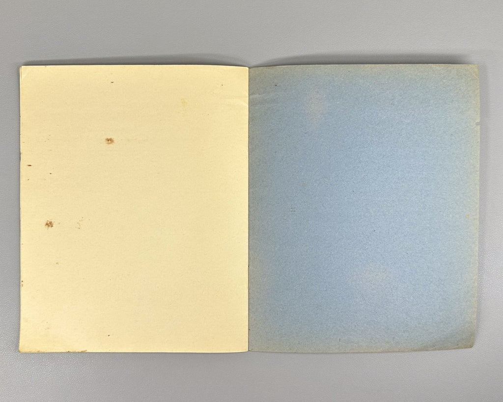 Russian Silver Age Poets Notebook Handwritten 1900 Самиздат Серебряный век стихи