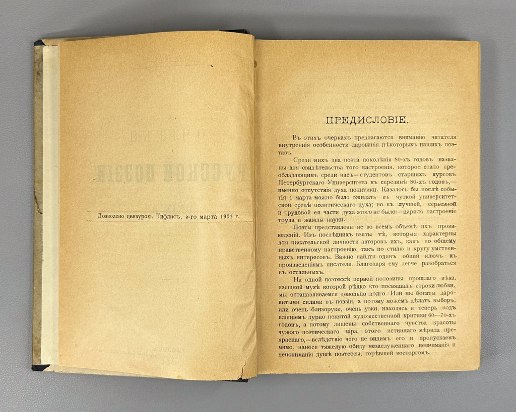 Mikhailov Russian poetry 19th cent. 1904 Михайлов Очерки русской поэзии XIX в.