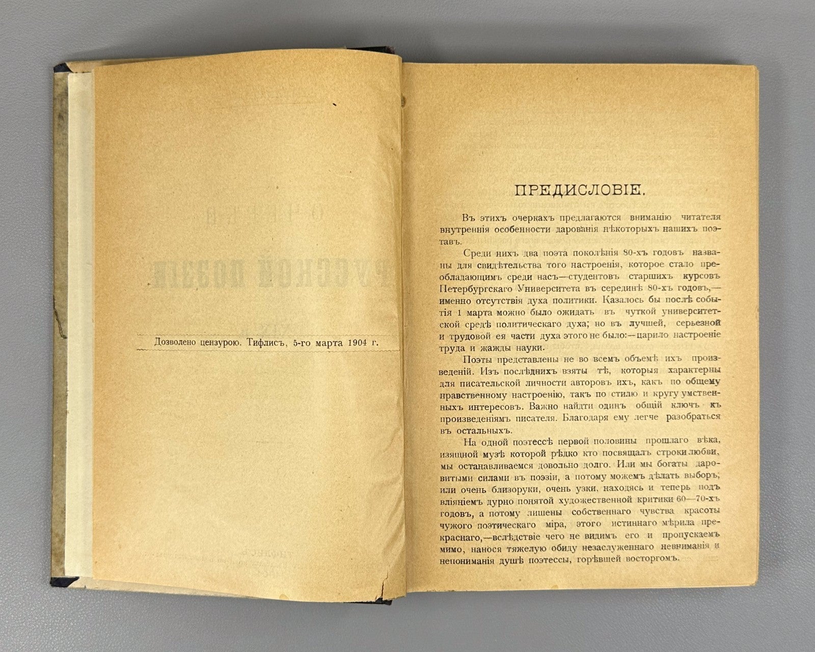 Mikhailov Russian poetry 19th cent. 1904 Михайлов Очерки русской поэзии XIX в.