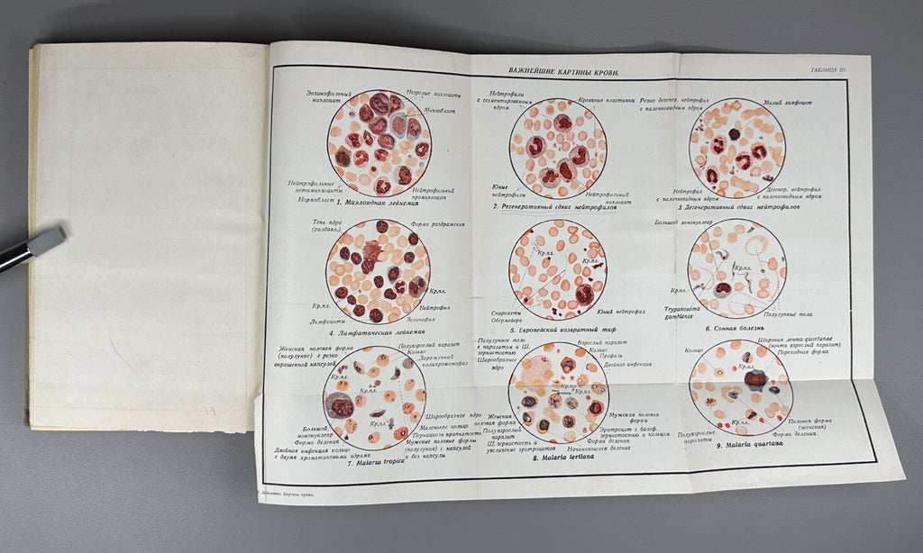 Шиллинг Картина крови 1931 Schilling The Blood Picture Tropical Diseases Russian