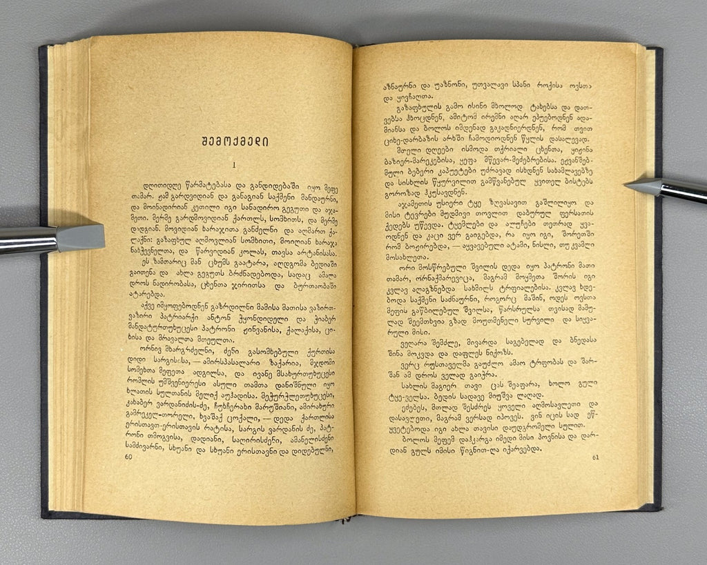 Demna Shengelaya Novels Georgian 1939 დემნა შენგელაია მოთხრობები Демна Шенгелая