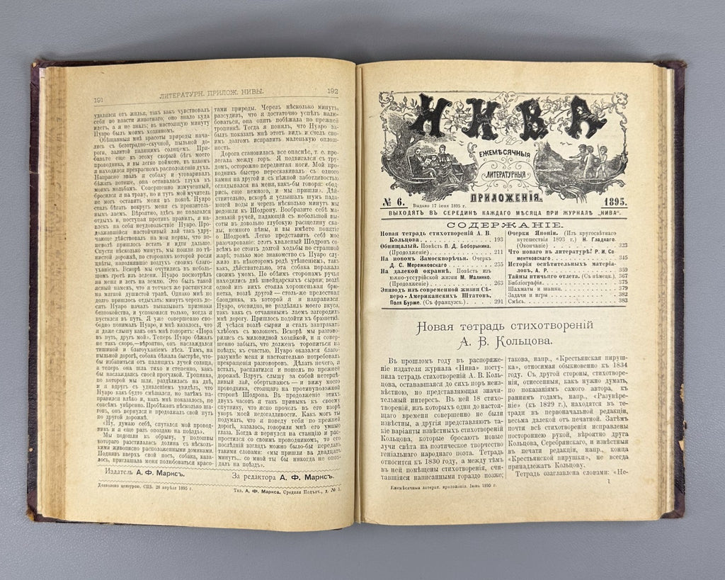 Литературные приложения к журналу Нива за 1895 Niva Magazine Literary Supplement